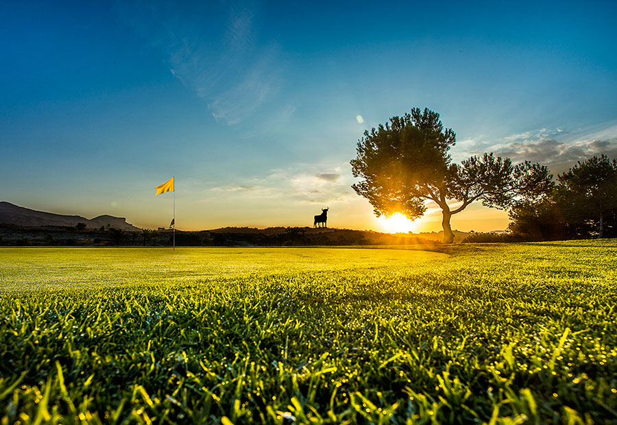 Alenda Golf Course